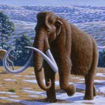 mammoth-pleistocene-mammals-painting-excerpt