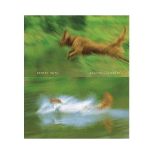 Tufte Beautiful Evidence