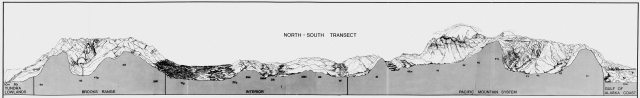 Alaska Natural Landscapes transect illustration