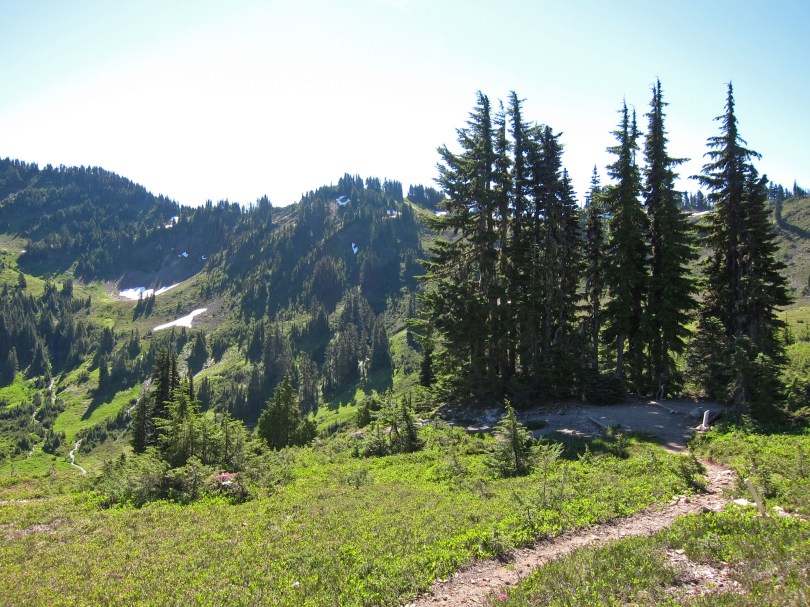 Park Service-designated campsite in Heart Lake area