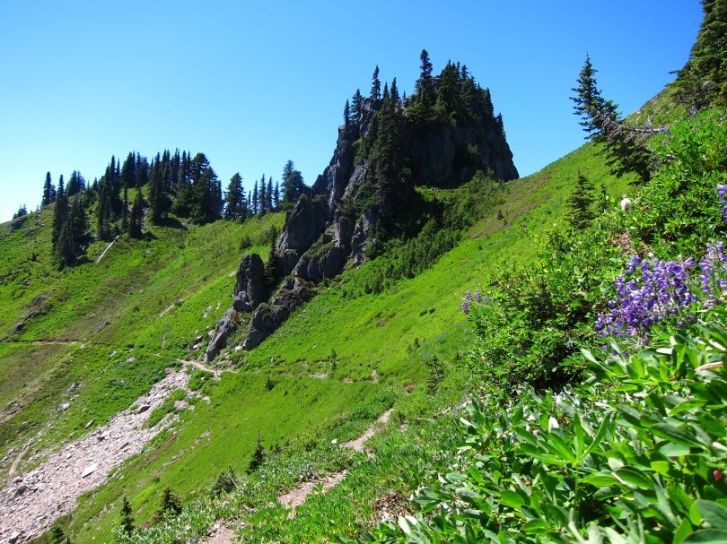 Trail to Hoh Valley, near High Divide junction