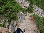 Stone retaining wall along the trail through Sol Duc Park
