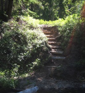 upper Sol Duc stock ford steps